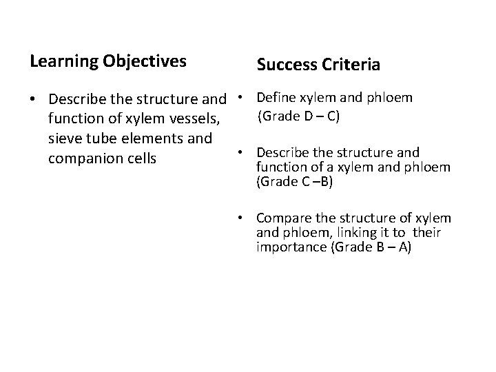 Learning Objectives Success Criteria • Describe the structure and • Define xylem and phloem