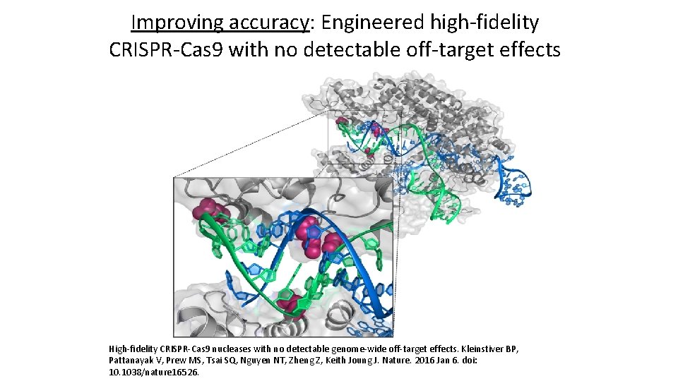 Improving accuracy: Engineered high-fidelity CRISPR-Cas 9 with no detectable off-target effects High-fidelity CRISPR-Cas 9