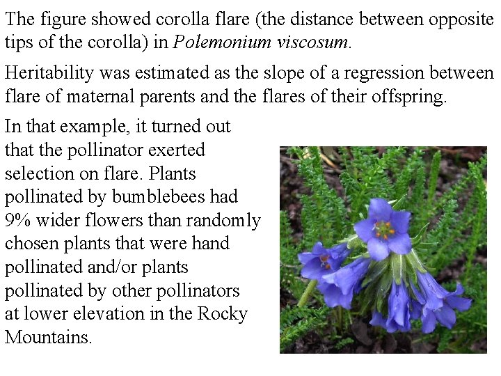 The figure showed corolla flare (the distance between opposite tips of the corolla) in