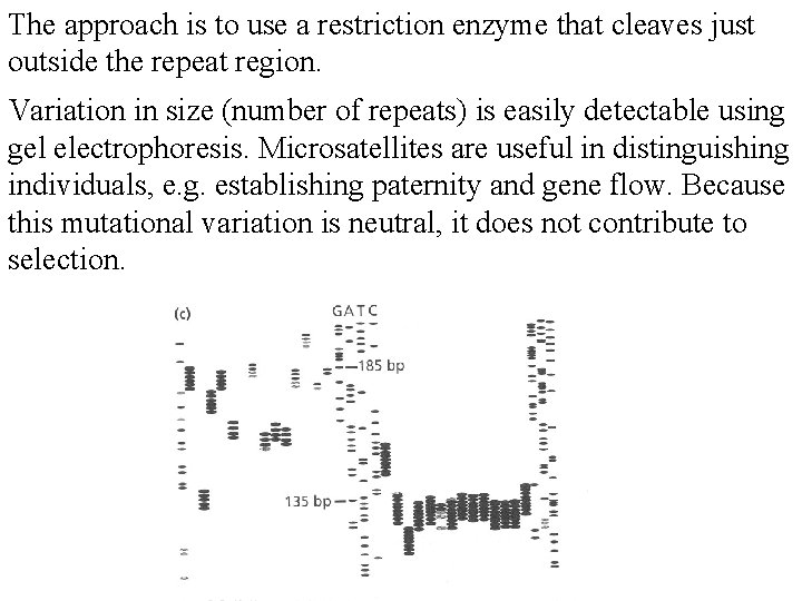 The approach is to use a restriction enzyme that cleaves just outside the repeat