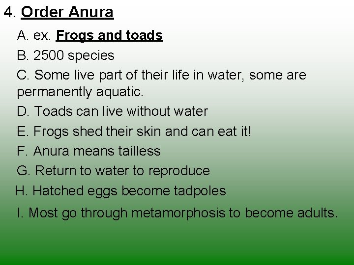 4. Order Anura A. ex. Frogs and toads B. 2500 species C. Some live