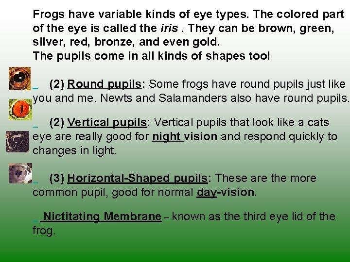 Frogs have variable kinds of eye types. The colored part of the eye is