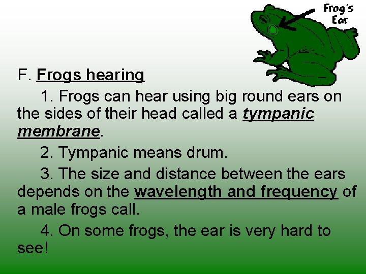 F. Frogs hearing 1. Frogs can hear using big round ears on the sides