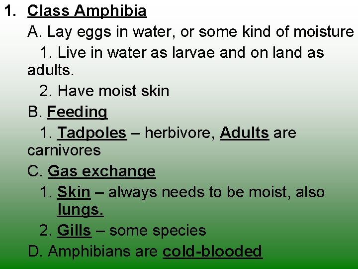 1. Class Amphibia A. Lay eggs in water, or some kind of moisture 1.