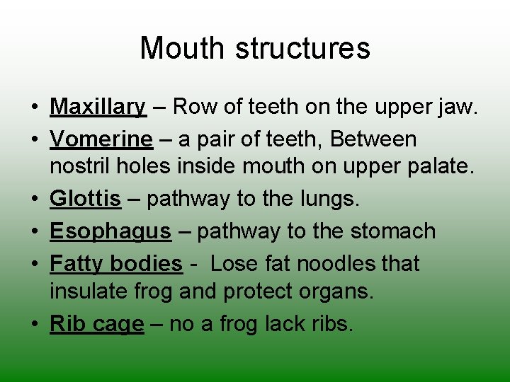 Mouth structures • Maxillary – Row of teeth on the upper jaw. • Vomerine