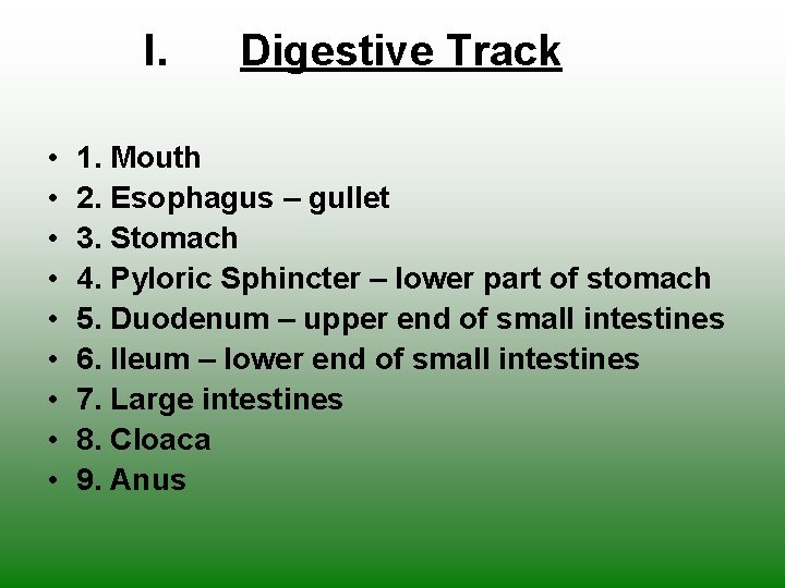 I. • • • Digestive Track 1. Mouth 2. Esophagus – gullet 3. Stomach