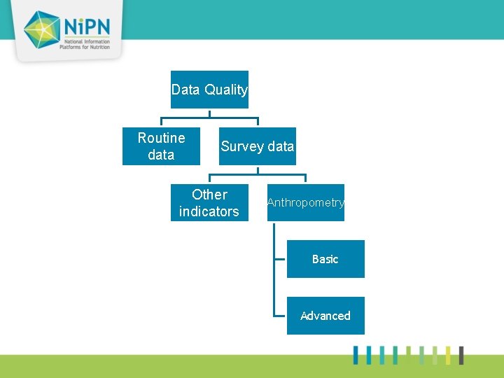 Data Quality Routine data Survey data Other indicators Anthropometry Basic Advanced 