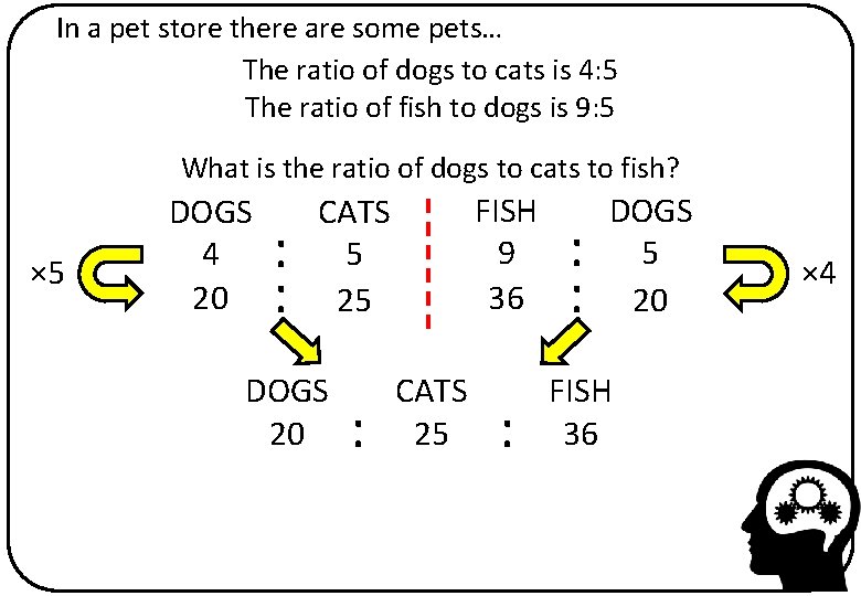 In a pet store there are some pets… The ratio of dogs to cats