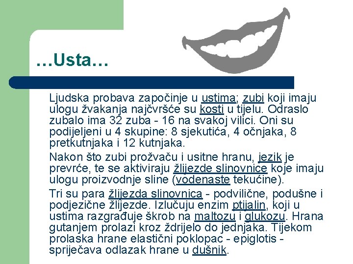 …Usta… Ljudska probava započinje u ustima; zubi koji imaju ulogu žvakanja najčvršće su kosti