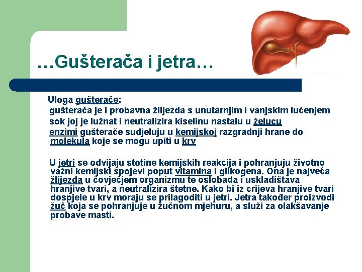 …Gušterača i jetra… Uloga gušterače: gušterača je i probavna žlijezda s unutarnjim i vanjskim