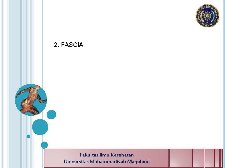 2. FASCIA Fakultas Ilmu Kesehatan Universitas Muhammadiyah Magelang 