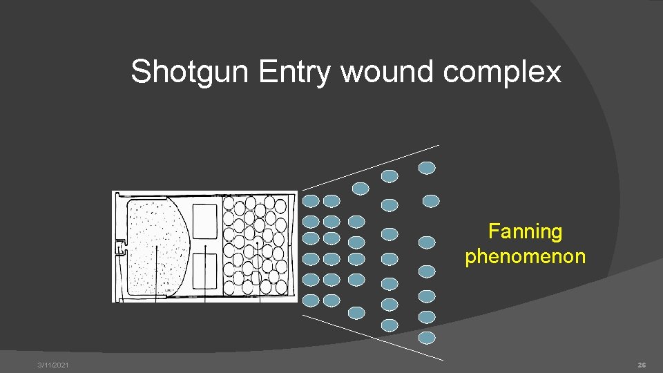 Shotgun Entry wound complex Fanning phenomenon 3/11/2021 26 