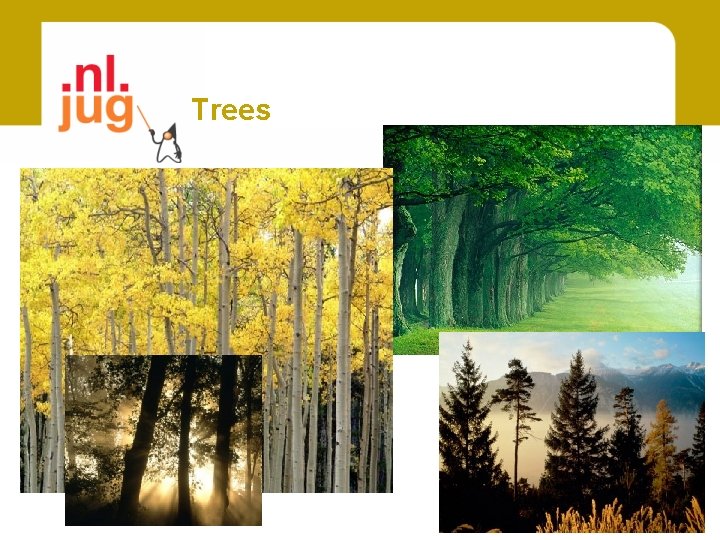 Trees 