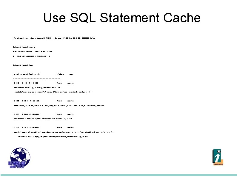 Use SQL Statement Cache IBM Informix Dynamic Server Version 11. 70. FC 7 --
