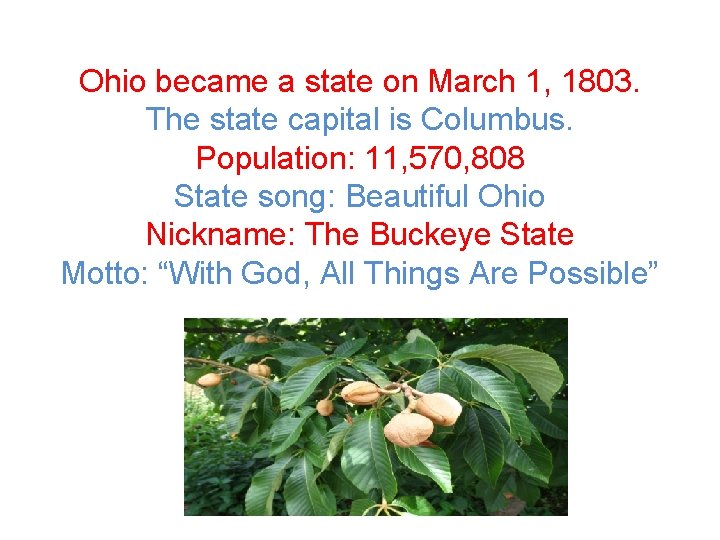 Ohio became a state on March 1, 1803. The state capital is Columbus. Population: