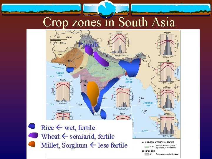 Crop zones in South Asia Punjab Rice wet, fertile Wheat semiarid, fertile Millet, Sorghum