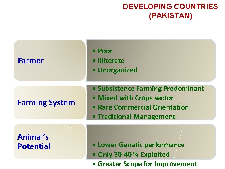 DEVELOPING COUNTRIES (PAKISTAN) Farmer • Poor • Illiterate • Unorganized Farming System • Subsistence