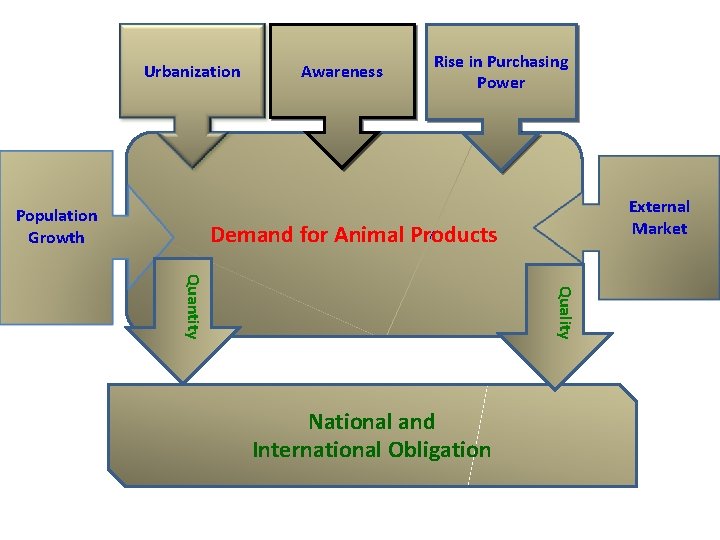 Urbanization Population Growth Awareness Rise in Purchasing Power External Market Demand for Animal Products