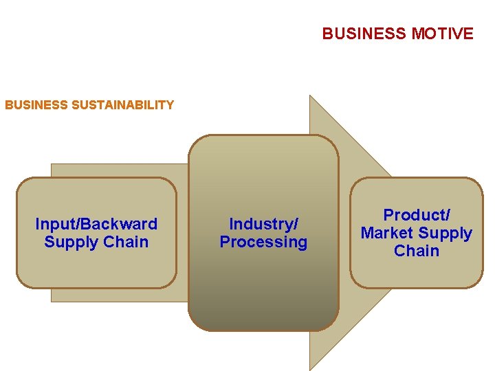 BUSINESS MOTIVE BUSINESS SUSTAINABILITY Input/Backward Supply Chain Industry/ Processing Product/ Market Supply Chain 