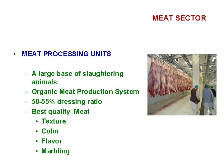 MEAT SECTOR • MEAT PROCESSING UNITS – A large base of slaughtering animals –