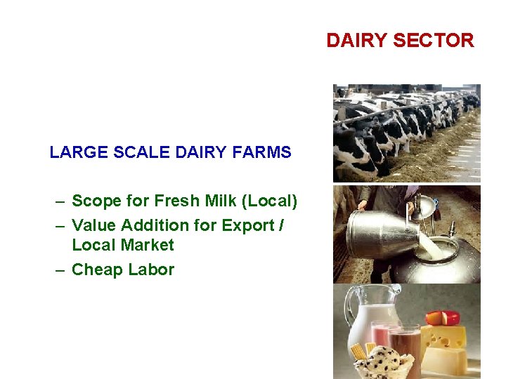 DAIRY SECTOR LARGE SCALE DAIRY FARMS – Scope for Fresh Milk (Local) – Value