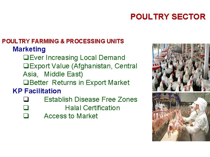 POULTRY SECTOR POULTRY FARMING & PROCESSING UNITS Marketing q. Ever Increasing Local Demand q.