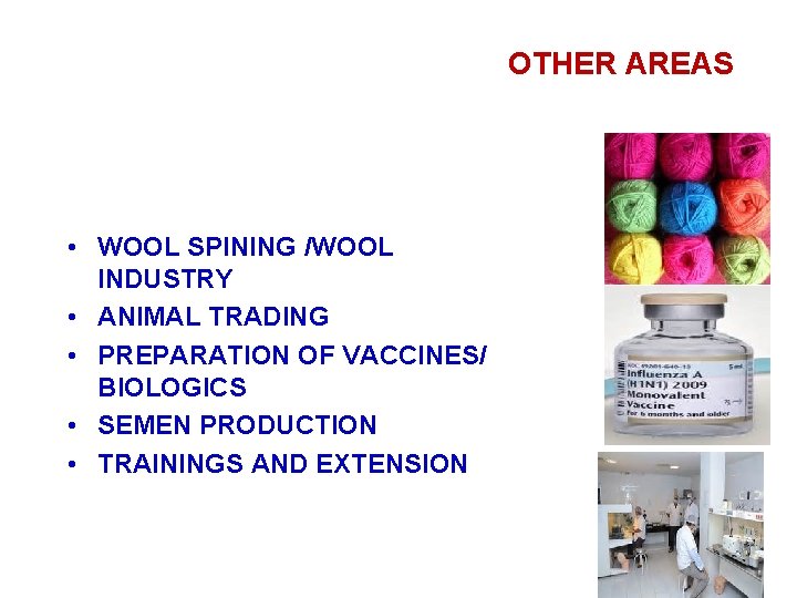 OTHER AREAS • WOOL SPINING /WOOL INDUSTRY • ANIMAL TRADING • PREPARATION OF VACCINES/