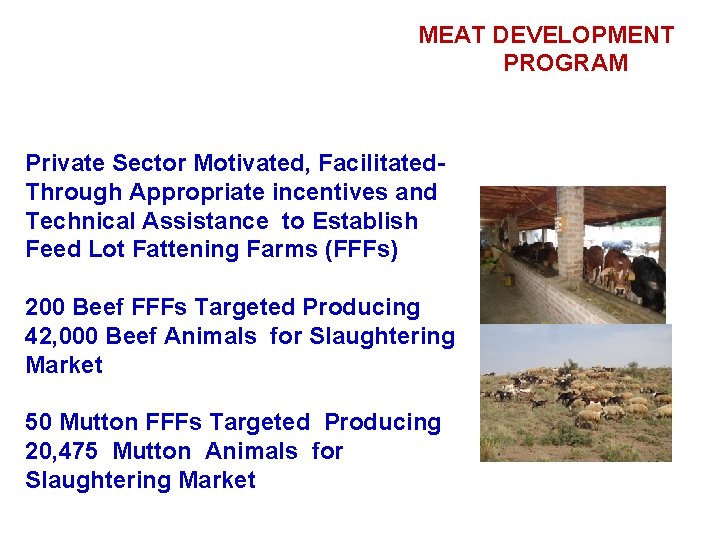  MEAT DEVELOPMENT PROGRAM Private Sector Motivated, Facilitated- Through Appropriate incentives and Technical Assistance