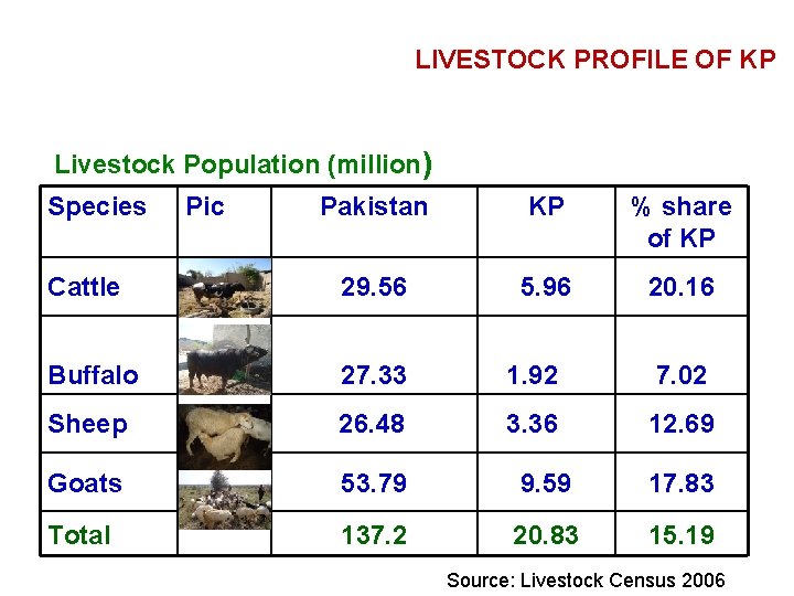 LIVESTOCK PROFILE OF KP Livestock Population (million) Species Pic Pakistan KP % share of