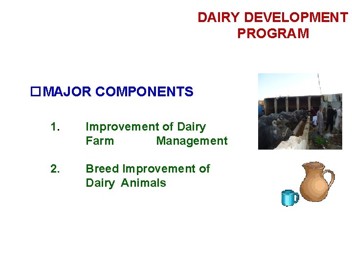 DAIRY DEVELOPMENT PROGRAM MAJOR COMPONENTS 1. Improvement of Dairy Farm Management 2. Breed Improvement