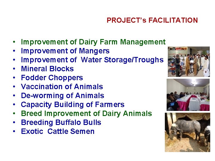 PROJECT’s FACILITATION • • • Improvement of Dairy Farm Management Improvement of Mangers Improvement