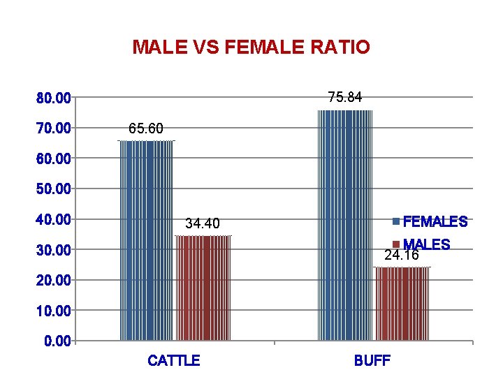 MALE VS FEMALE RATIO 75. 84 80. 00 70. 00 65. 60 60. 00