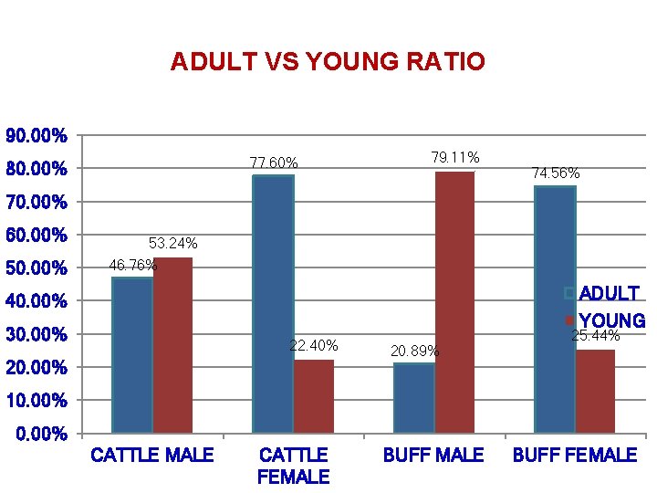 ADULT VS YOUNG RATIO 90. 00% 77. 60% 80. 00% 79. 11% 74. 56%