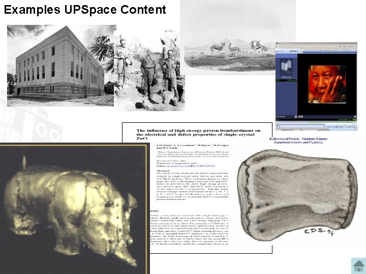 Examples UPSpace Content Examples UPSpace Content