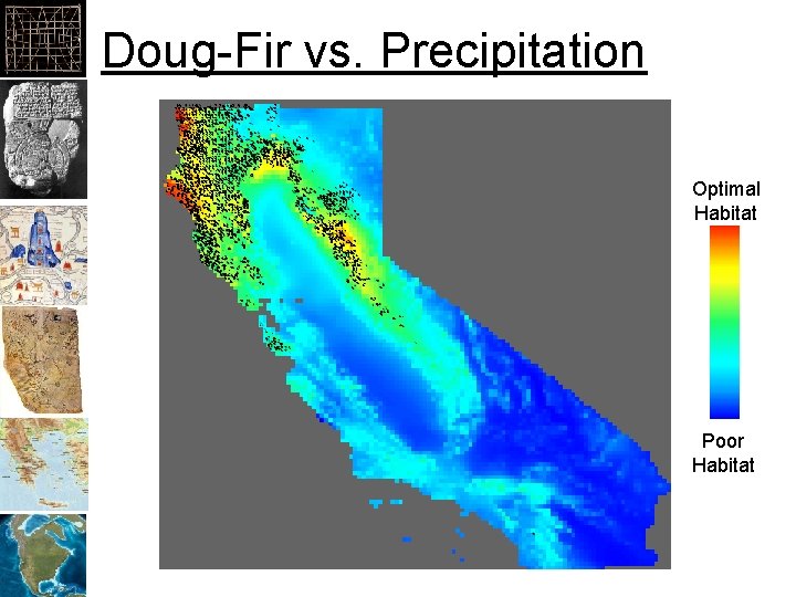 Doug-Fir vs. Precipitation Optimal Habitat Poor Habitat 
