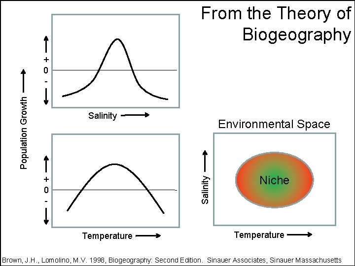  From the Theory of Biogeography Population Growth + 0 - Salinity + 0