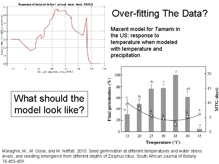 Over-fitting The Data? Maxent model for Tamarix in the US: response to temperature when