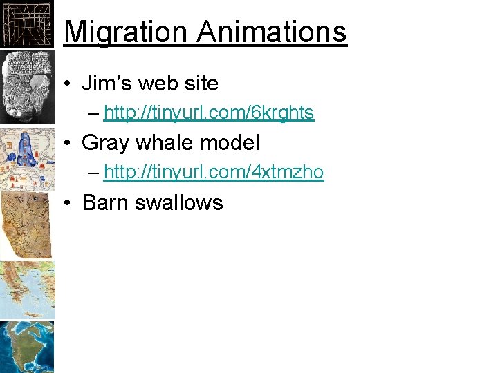 Migration Animations • Jim’s web site – http: //tinyurl. com/6 krghts • Gray whale