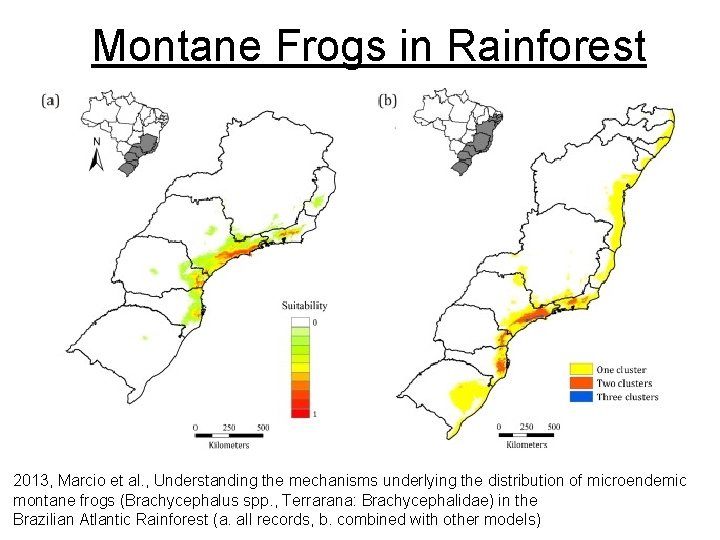 Montane Frogs in Rainforest 2013, Marcio et al. , Understanding the mechanisms underlying the