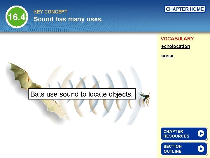 16. 4 KEY CONCEPT CHAPTER HOME Sound has many uses. VOCABULARY echolocation sonar Bats