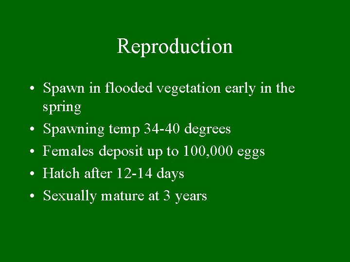 Reproduction • Spawn in flooded vegetation early in the spring • Spawning temp 34
