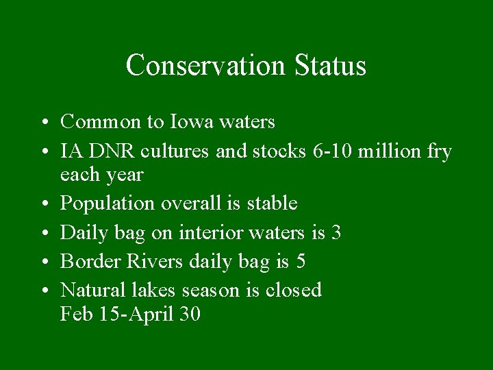 Conservation Status • Common to Iowa waters • IA DNR cultures and stocks 6