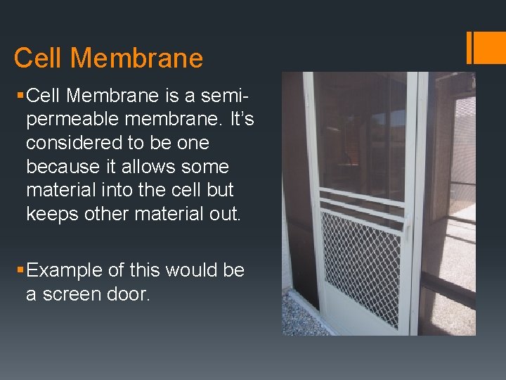 Cell Membrane § Cell Membrane is a semipermeable membrane. It’s considered to be one