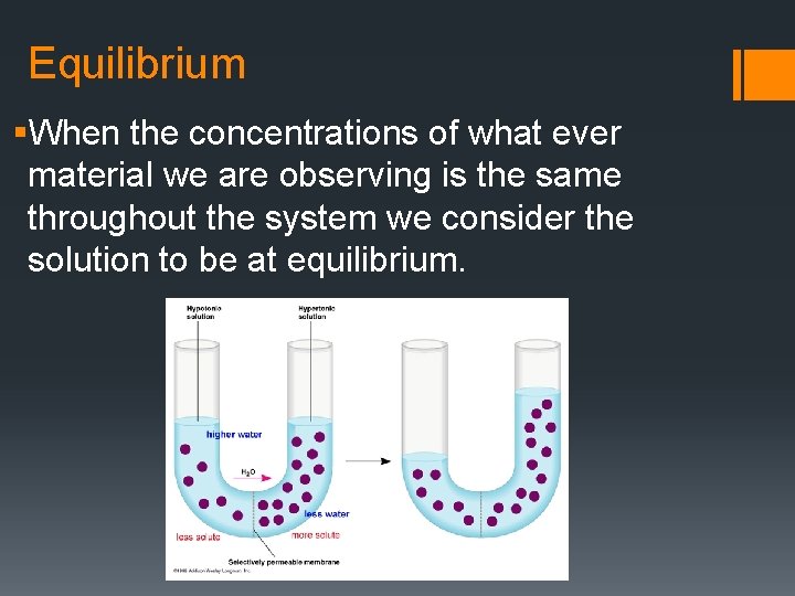 Equilibrium §When the concentrations of what ever material we are observing is the same