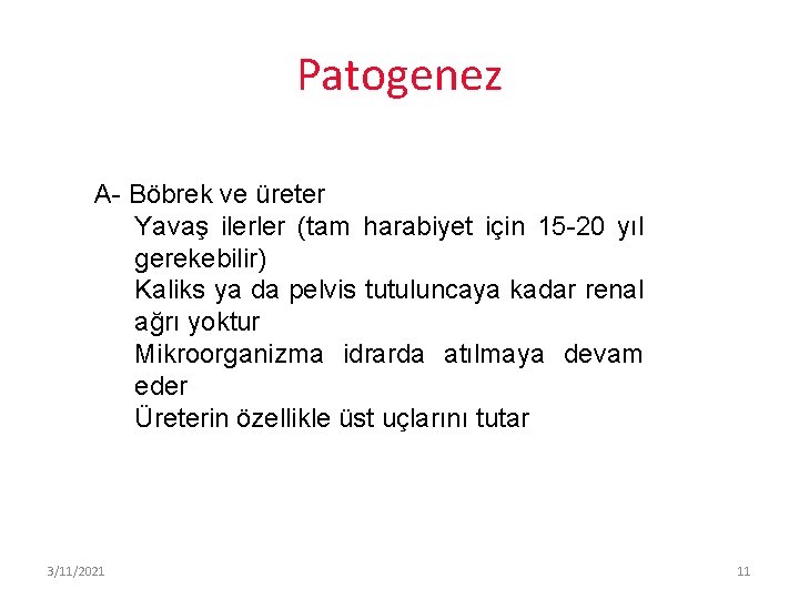 Patogenez A- Böbrek ve üreter Yavaş ilerler (tam harabiyet için 15 -20 yıl gerekebilir)