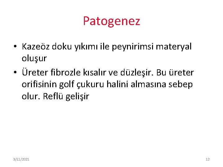 Patogenez • Kazeöz doku yıkımı ile peynirimsi materyal oluşur • Üreter fibrozle kısalır ve