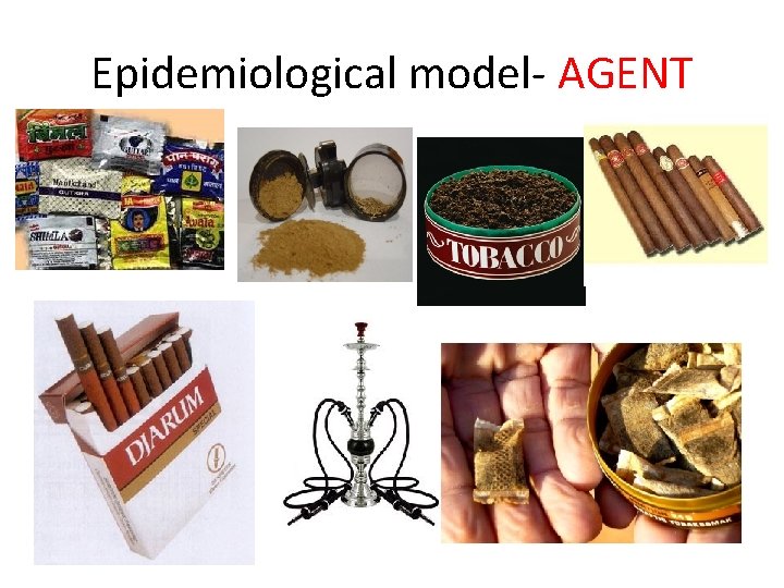 Epidemiological model- AGENT 