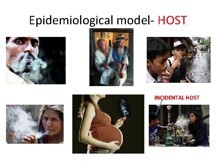 Epidemiological model- HOST INCIDENTAL HOST 