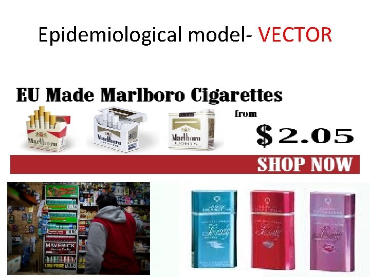 Epidemiological model- VECTOR 