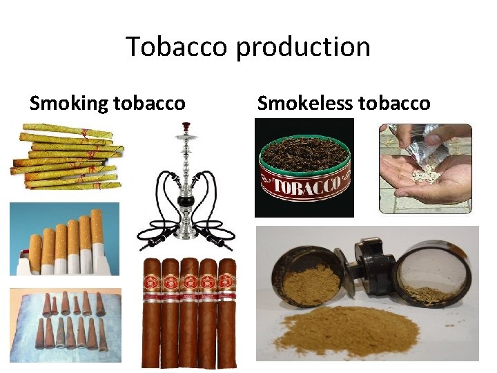 Tobacco production Smoking tobacco Smokeless tobacco 